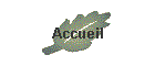 Accueil